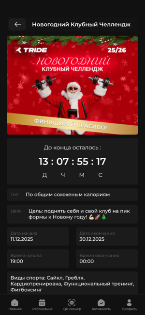 Интерфейс TRIDE
